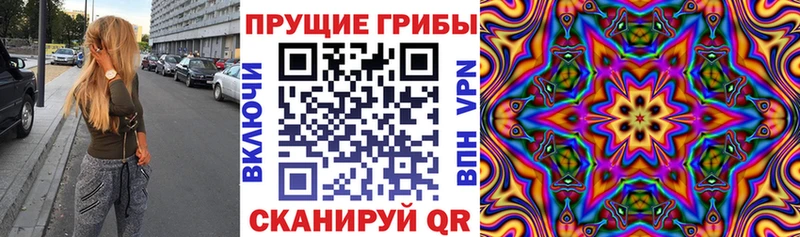 ОМГ ОМГ зеркало  Нижнекамск  Псилоцибиновые грибы мицелий 