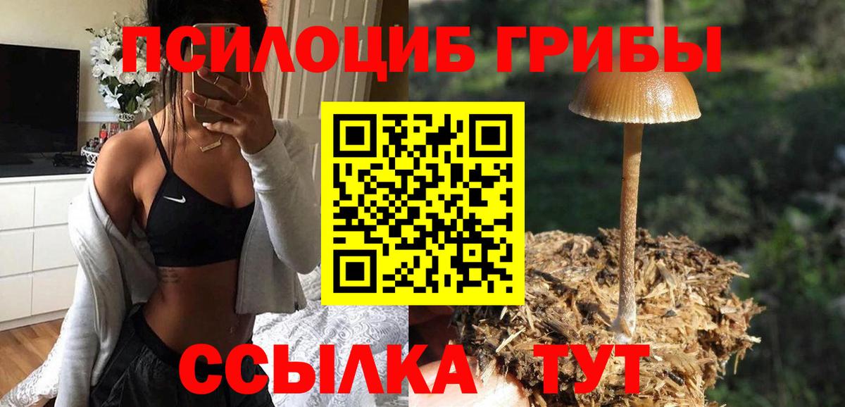 Галлюциногенные грибы GOLDEN TEACHER  Вход с VPN  Нижнекамск 